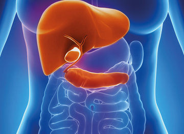 Hepatobiliary, Pancreatic and Liver Transplantation Surgery Welcome Image