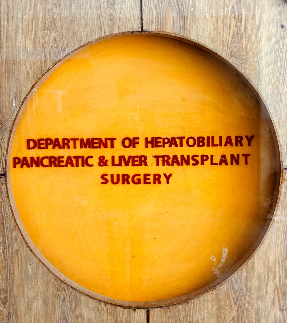 Hepatobiliary, Pancreatic and Liver Transplantation Surgery Welcome Image